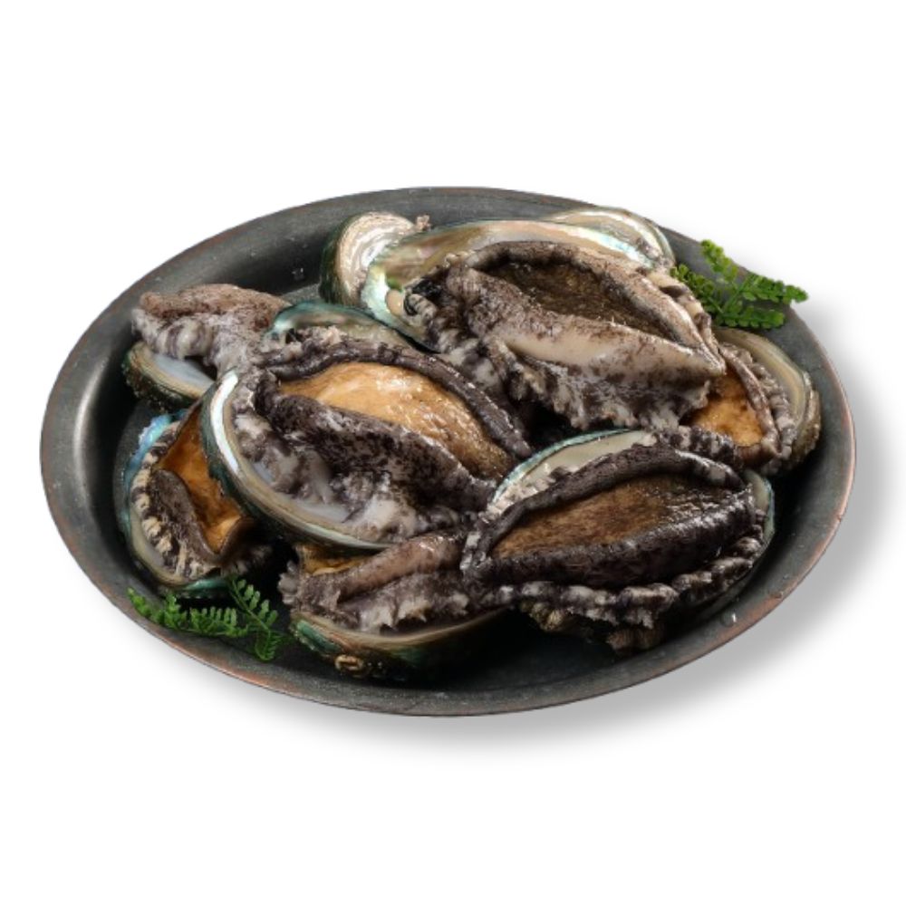 [꼬복상회] 완도 활전복 1kg 사이즈별 다양 당일조업 왕특대 사이즈까지 선물용, 1개, 활전복7-8미 39,000원