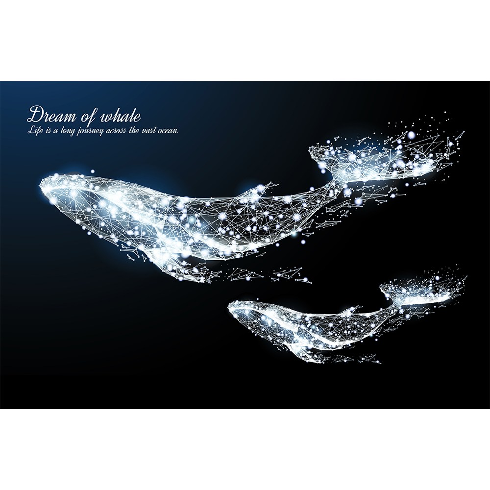 코나 주방아트보드 가스렌지 인덕션 가드 가림막 기름튐방지 고래의꿈2 실버 29,000원