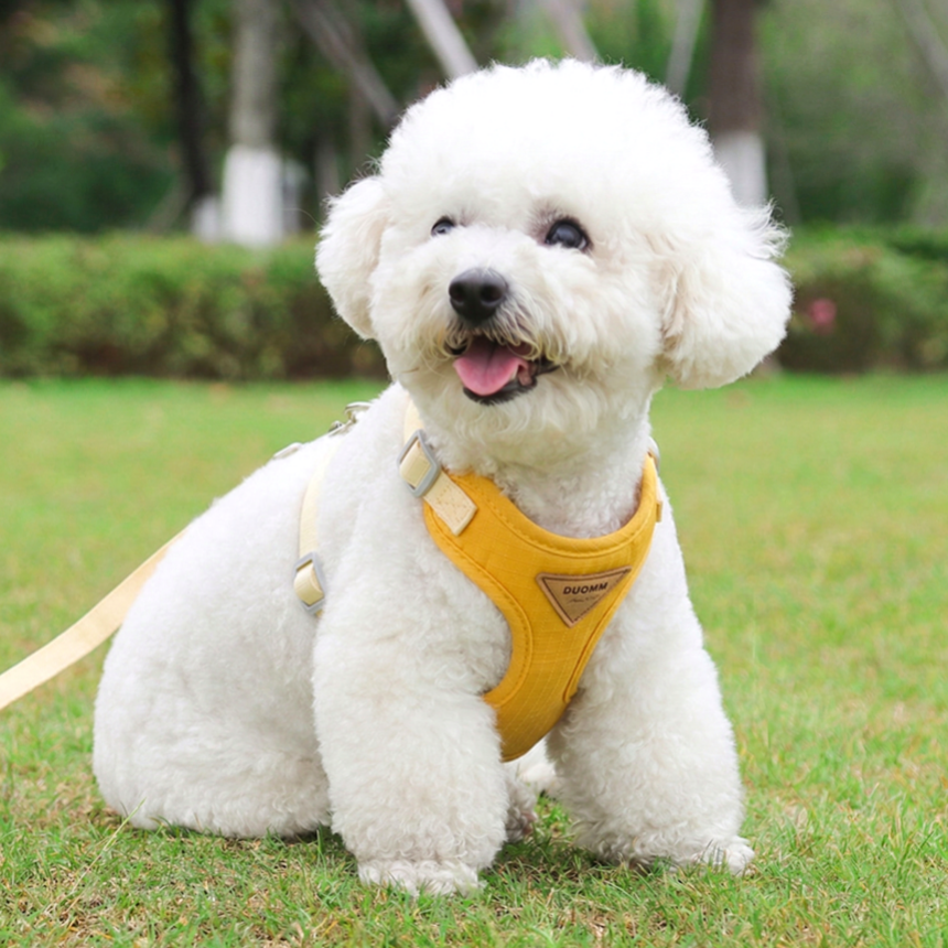 공온 부드럽고 편안한 폭신 메쉬 강아지 하네스 + 리드줄 세트 10,200원