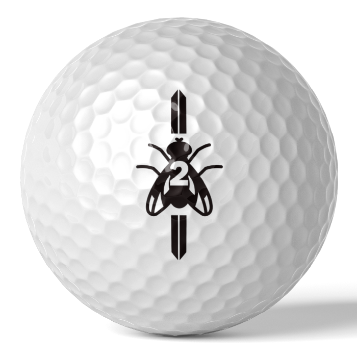 세계최초 집중력강화 골프공 2피스, 정품볼, 화이트, 1세트, 6개입 12,000원