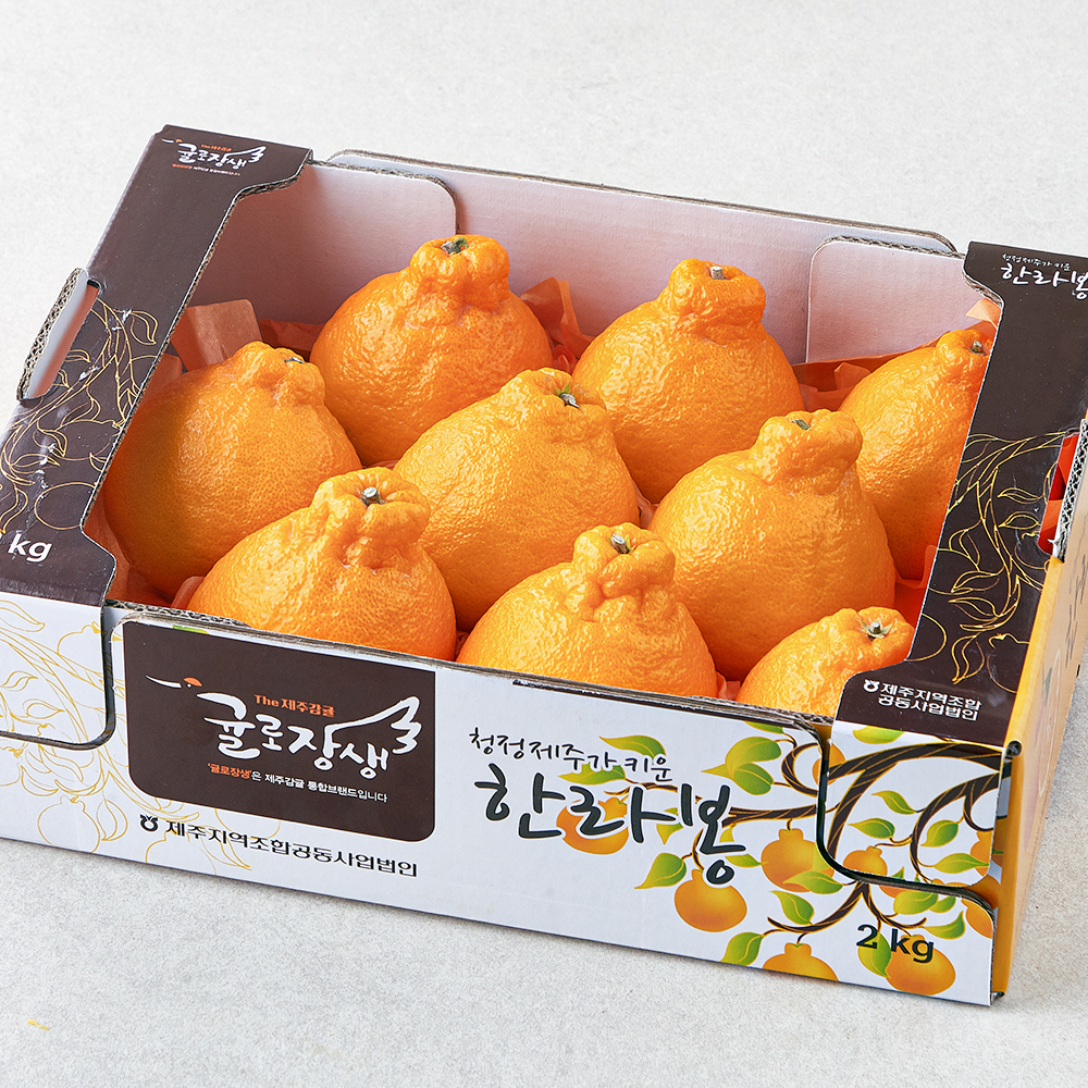 [로켓프레시] 제주 위미농협 당도선별 한라봉 13,330원