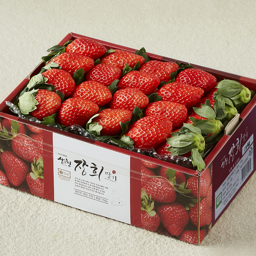 [로켓프레시] 산청 장희딸기 13,980원