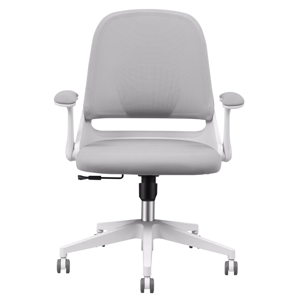 FlexiSpot 사무용의자 학생의자 품질인증 BIFMA SGS 공부의자 메쉬의자 OC5, 그레이 82,010원