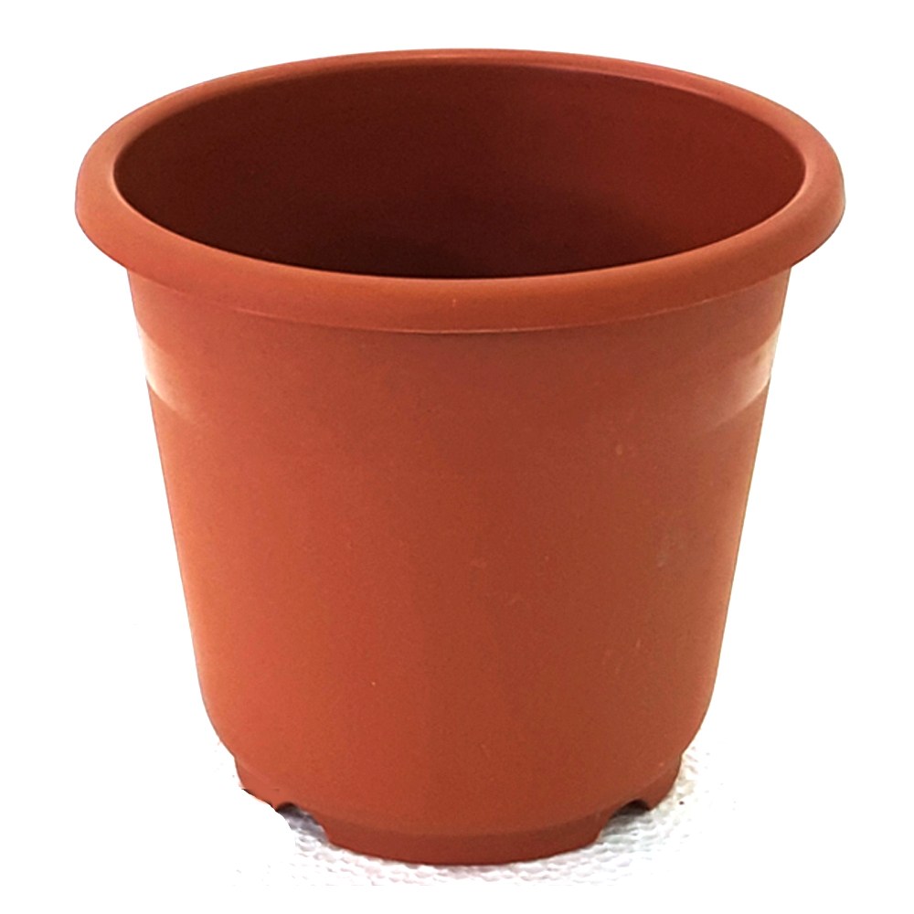 묶음판매 원분6호 50개 플라스틱화분 분갈이흙 모종, 50개 46,800원