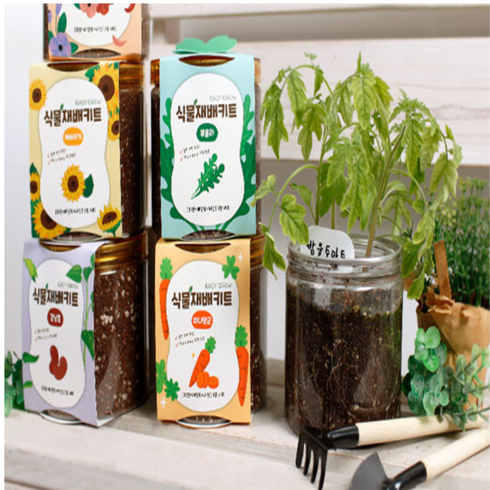 칠템 식물재배키트 3종세트 허브 채소 꽃 과일 홈가드닝 인테리어 선물용 초보자OK 19,000원