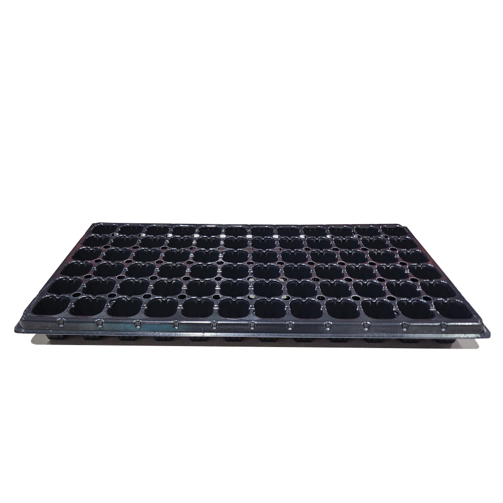 [모종트레이 50개] 육묘트레이 육묘장 화분 모판 배추 고추 모종 32구 40구 50구 72구 102구 128구 162구 200구 34,880원