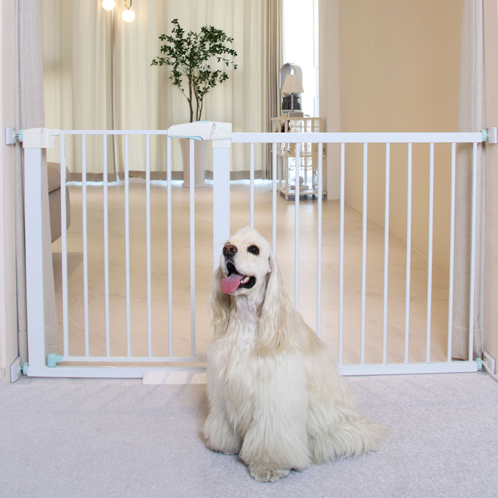 펫초이스 프리미엄 반려견 강아지 안전문, 화이트, 1개 42,900원