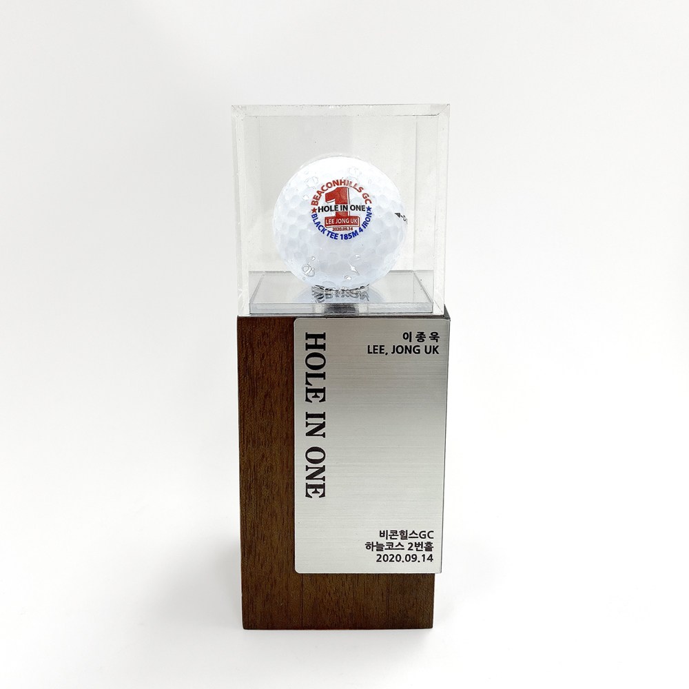 337팩토리 골프공 원목 사각 진열 케이스 상패 / 실버 62,000원