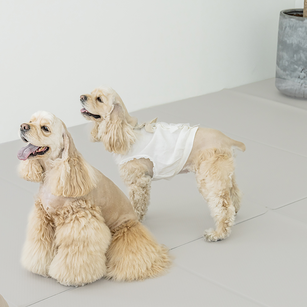 플리다스 강아지 투게더 논슬립 코지 매트, 클라우드, 1개 31,850원