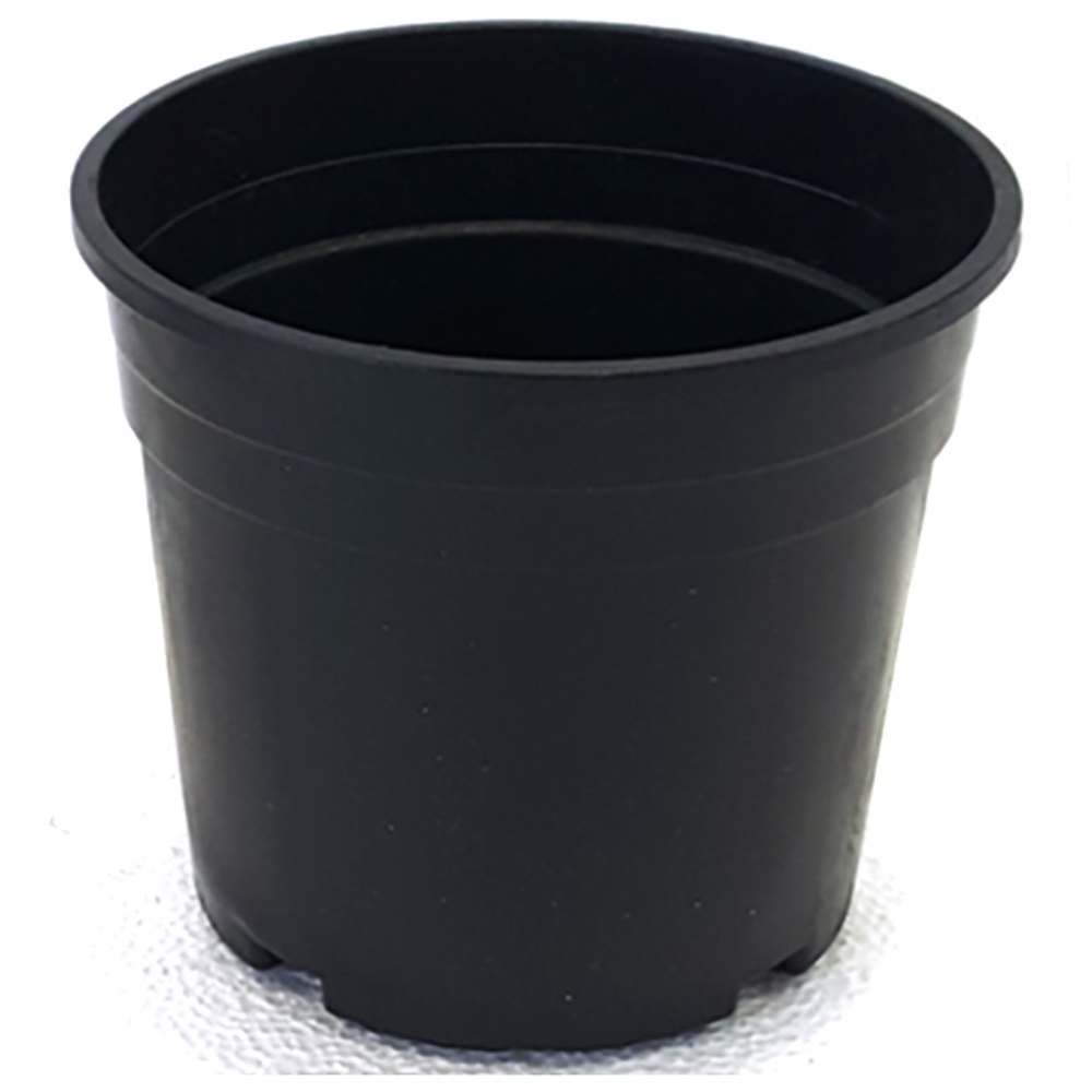 묶음판매 산세분(검정)6호 100개 플라스틱화분, 100개 72,000원