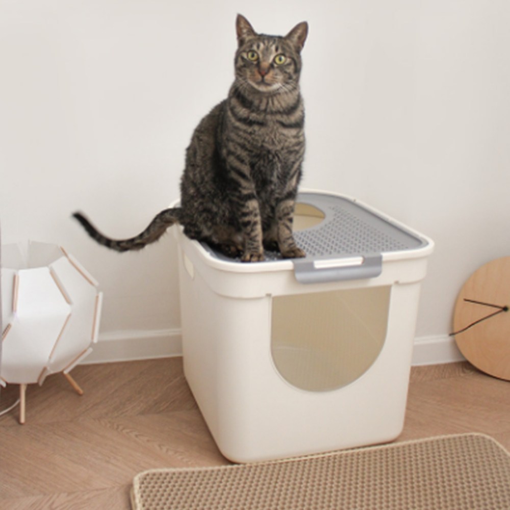 고양이 초대형 화장실 후드형 위생 반려묘 냥이 다묘 모래, 1개 46,550원