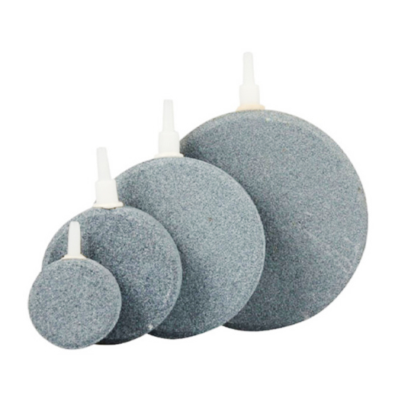 기포돌 에어스톤 어항 콩돌 4종 세트 19,900원