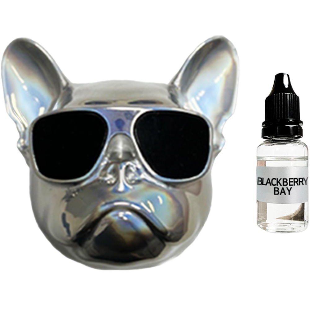 엠퓨처 차량용 불독 방향제 오로라 + 오일 15ml + 클립 3cm + 오일솜 세트 12,890원