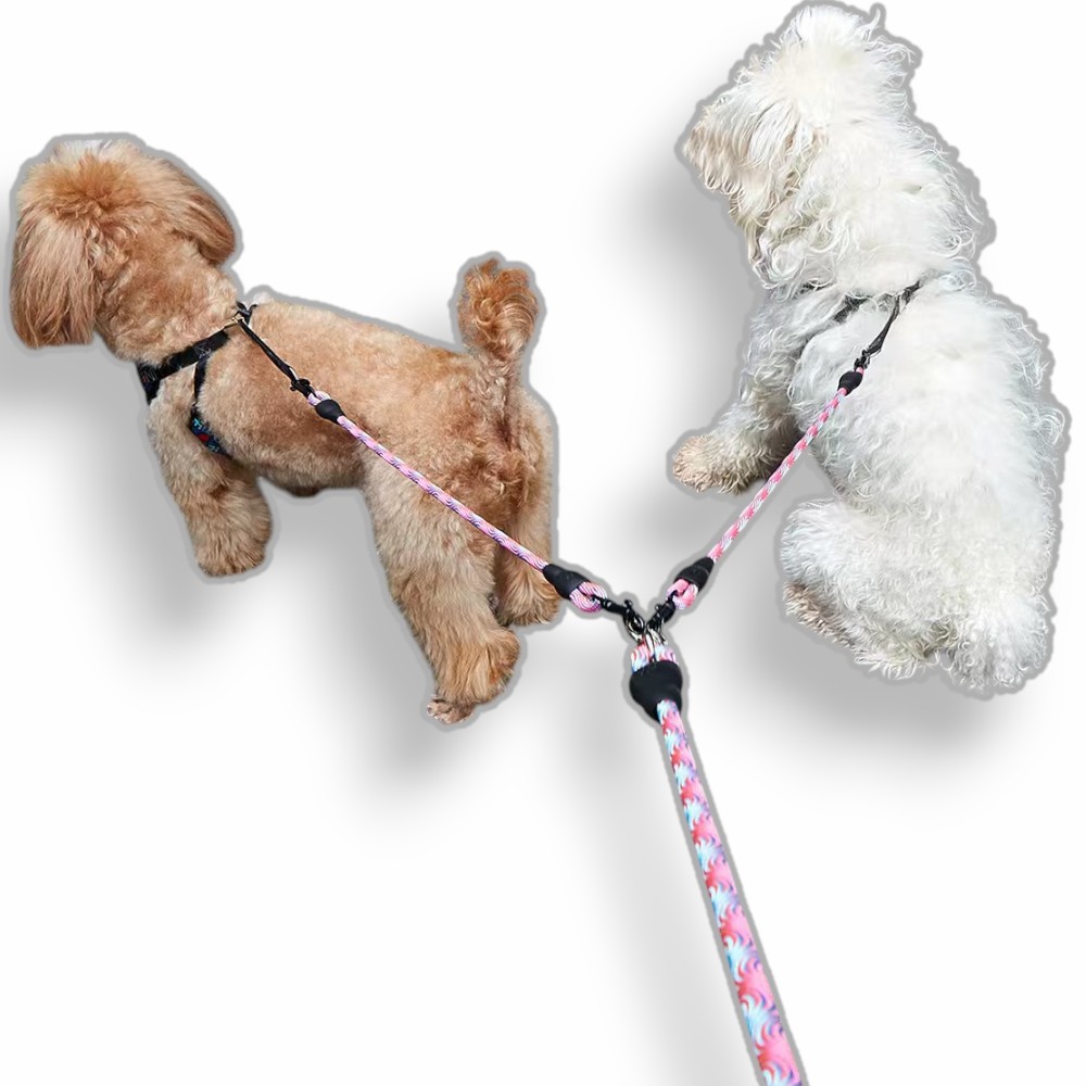 고바 웨이브패턴 강아지 더블 리드줄 트윈 애견줄, 1개, 핑크 13,500원