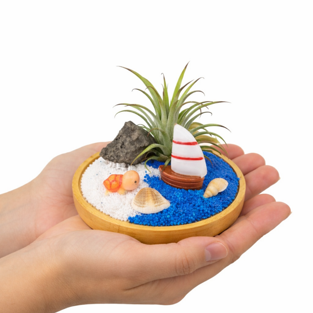 이오난사 테라리움 다육이 만들기 키트D.I.Y, 1세트, 바다거북이-이오난사DIY 7,050원