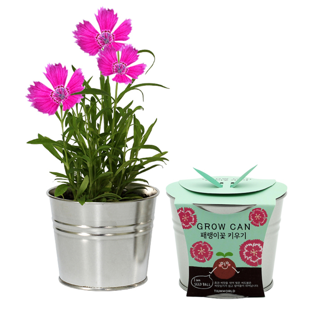 틔움세상 빈티지스타일 그로우캔 5,240원