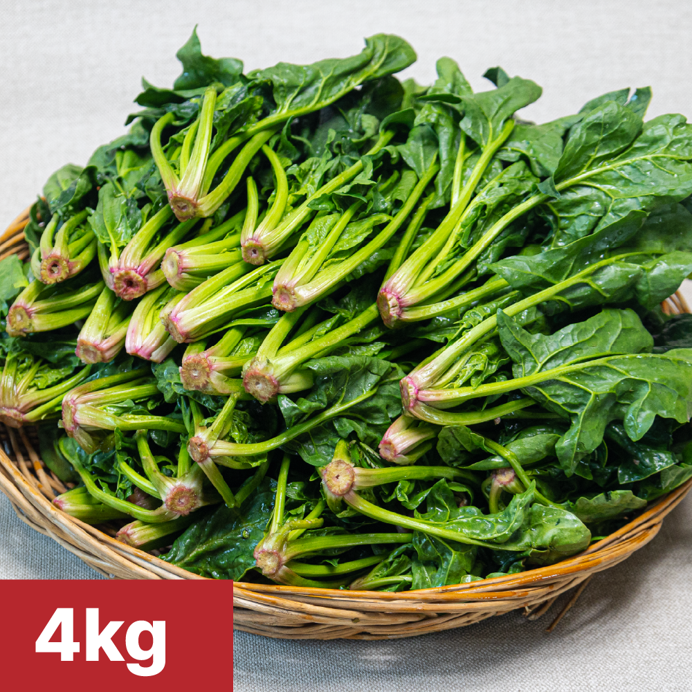 [여수 청년농부] 당일제조 국내산 여수 시금치 38,900원