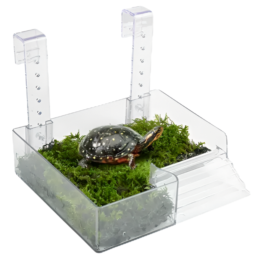 페이토 베란다형 일광욕 거북이 육지 중, 285g, 1개 10,800원