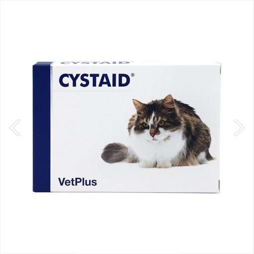 뱃플러스 시스테이드 플러스 고양이 영양보조제, 1개 18,990원