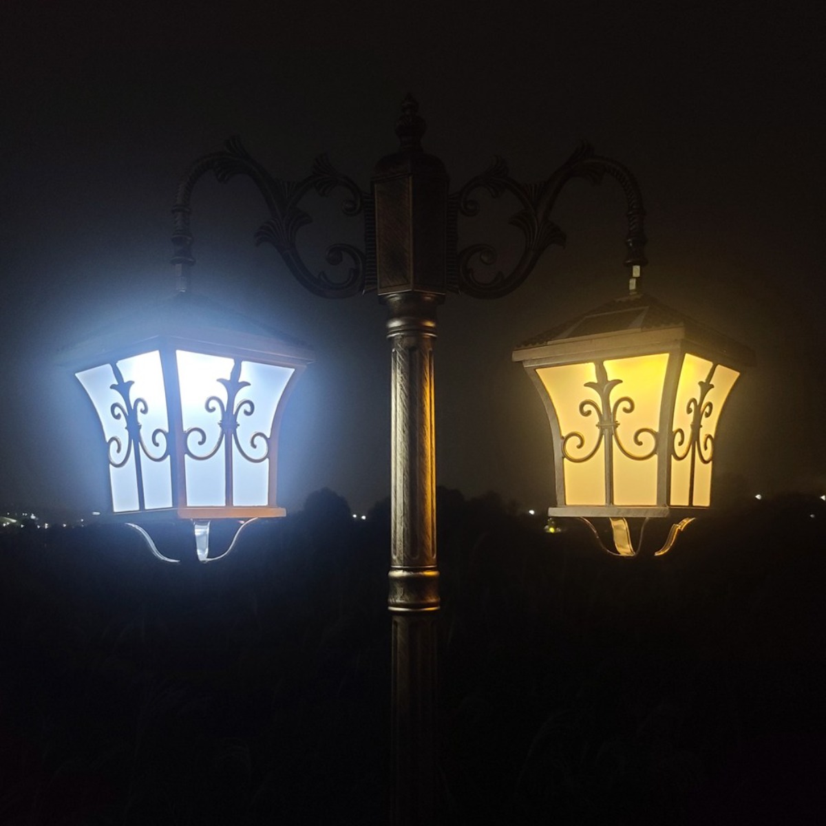 솔까든 전기세 없는 친환경 조명 솔라바인 2구 태양광 가로등 태양열 충전식 무선 럭셔리 야외방수 조명 255,000원