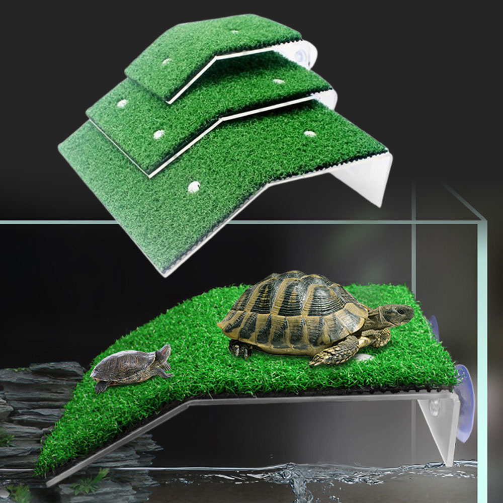 거북이 육지 쉼터 일광욕 계단 놀이터 다리 5,540원