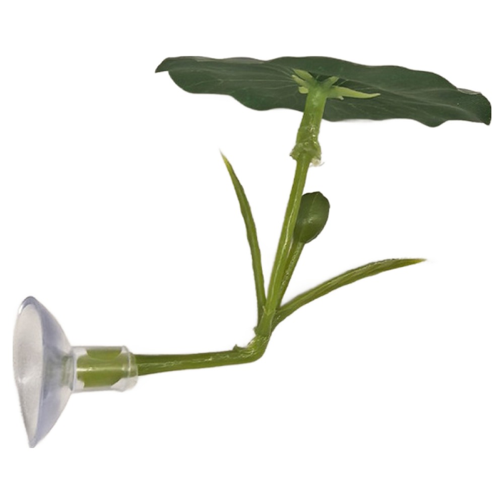 레몽크리프 연꽃 물고기 베타 침대 어항 조경 아쿠아 로터스 4,700원