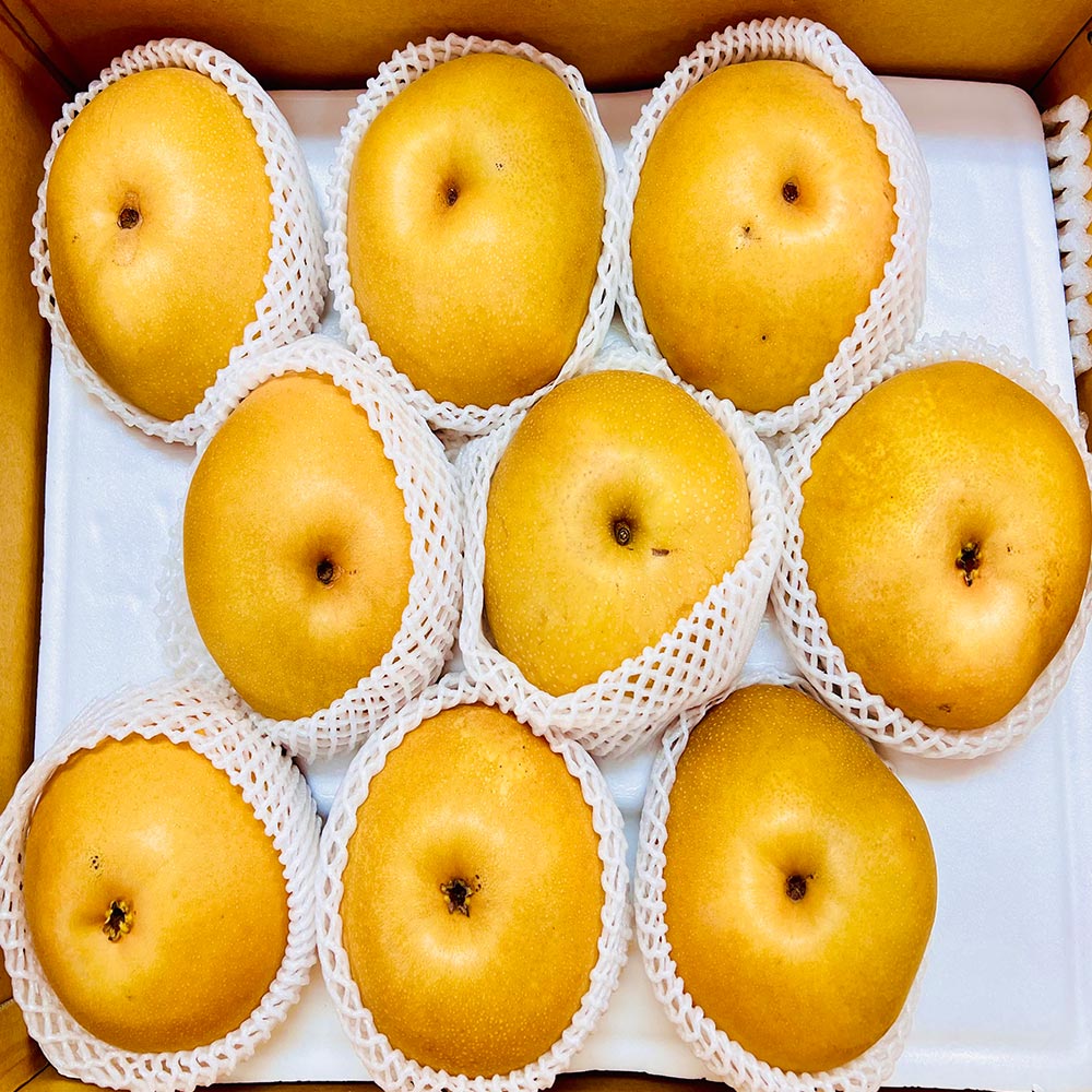 농부곳간 나주 햇배 나주배 신고배 과일 배 선물세트, 1박스, 나주배 2kg 가정용 3-5과 10,970원