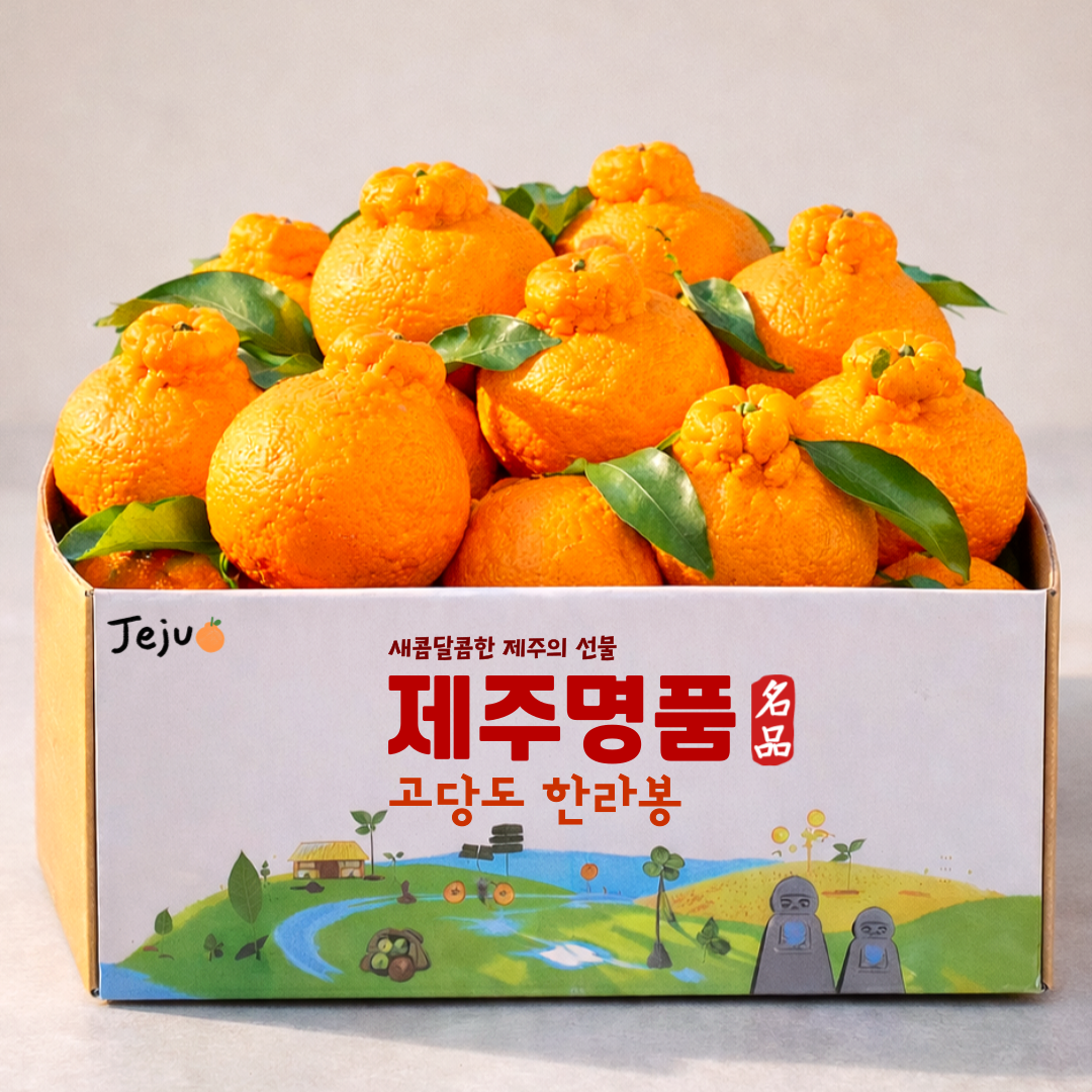 [오픈특가] 돌담농원 제주 한라봉 원물실중량 19,800원