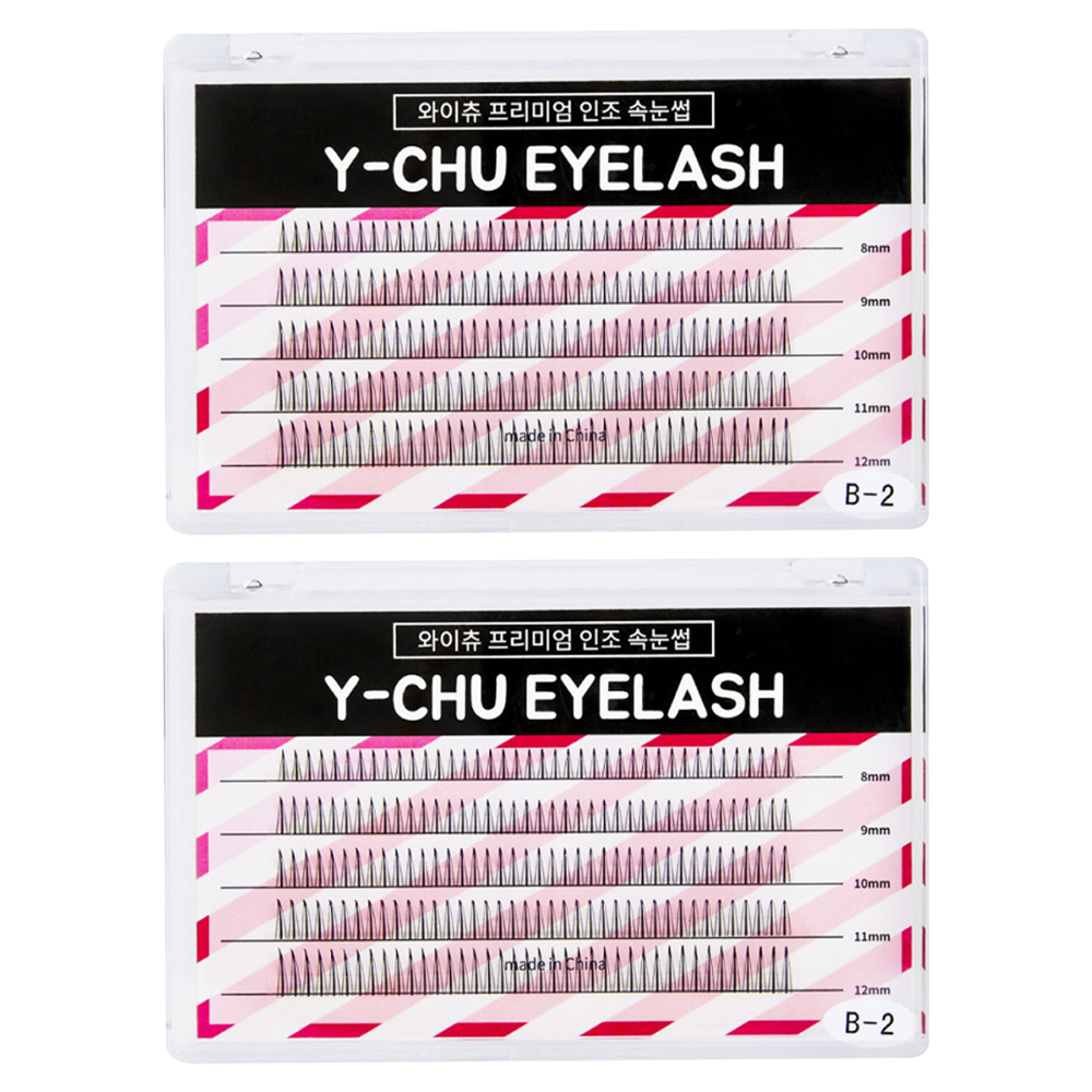 와이츄 프리미엄 가닥 부분속눈썹 5종 x 40p 세트 B-2-1, 블랙, 2개 15,800원