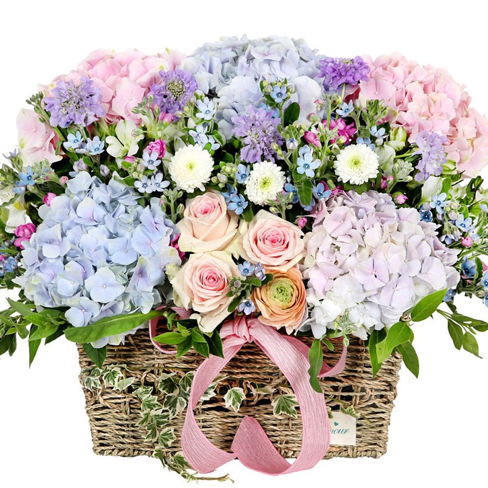 99플라워 (당일수령) 화사한 수국 꽃바구니 [ST-A1867] - 전국꽃배달서비스 기념일 생일 생화 꽃선물 당일배송 꽃바구니 116,400원