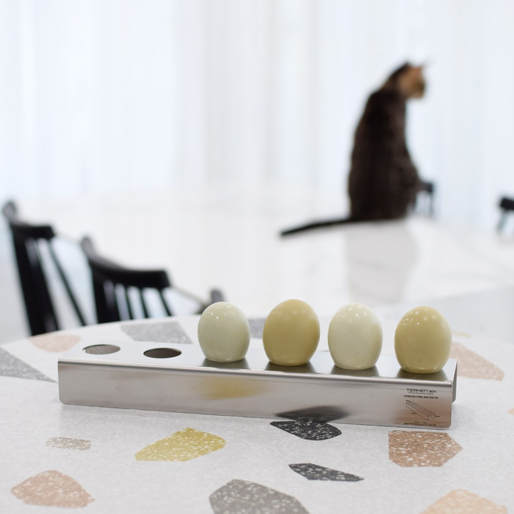 테르헨 304 스테인레스 에그 트레이 6P 25,980원