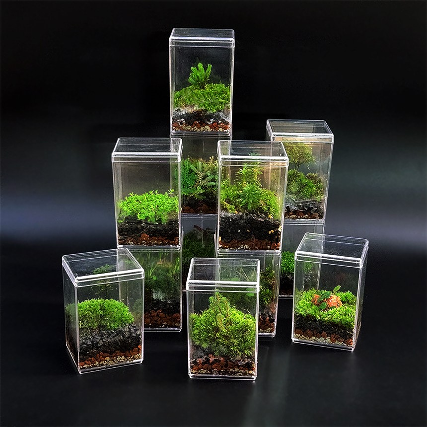 테라리움 키트 비단이끼 미니 테라리움 더숲 세트 DIY 만들기 8,000원