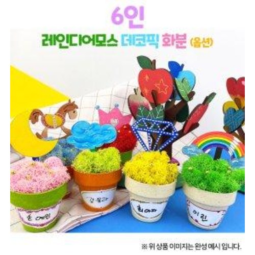 레인디어모스 데코픽 화분 6인(옵션) 21,000원