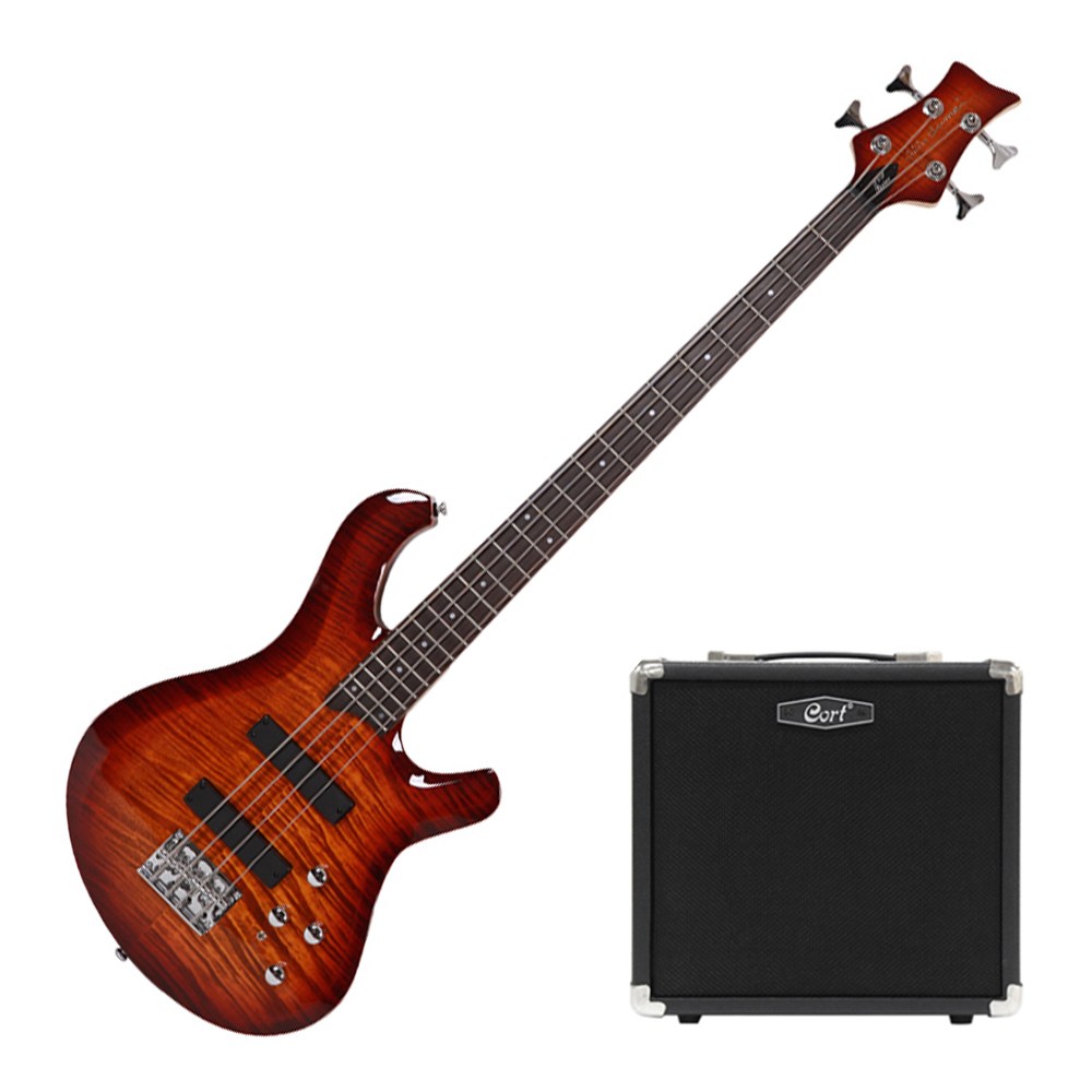 데임 폴앤폴250 입문용 베이스기타 + 콜트 15W앰프 패키지 517,000원