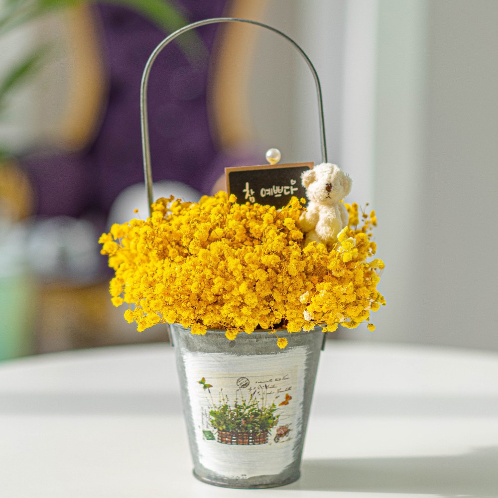 라운드오프 소나무로 만든 시들지 않는 LED 안개꽃바구니 34,900원