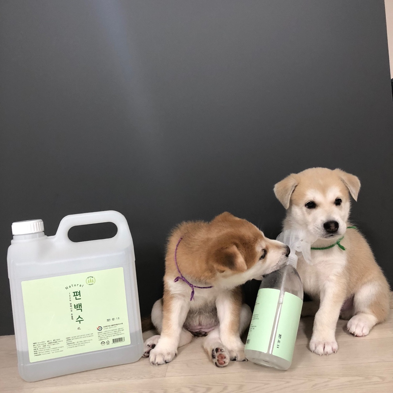 네츄럴 홈 실내탈취 반려동물 집진드기 새집증후군 제거 안심 탈취제 500ml +4000ml 34,230원