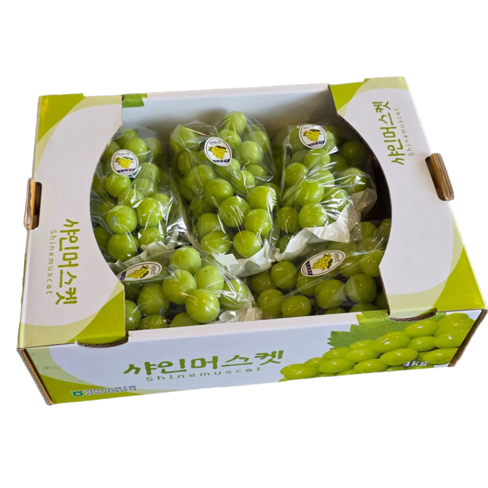고당도 안전배송 김천 영천 산지직송 샤인머스캣, 1개, 샤인머스캣 4kg 특품(선물용) 4-5수 44,900원