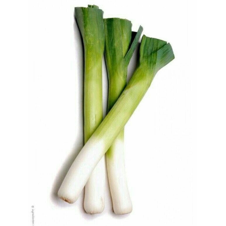 신선 리크 서양대파 서양대파 수프볶음용 29,970원