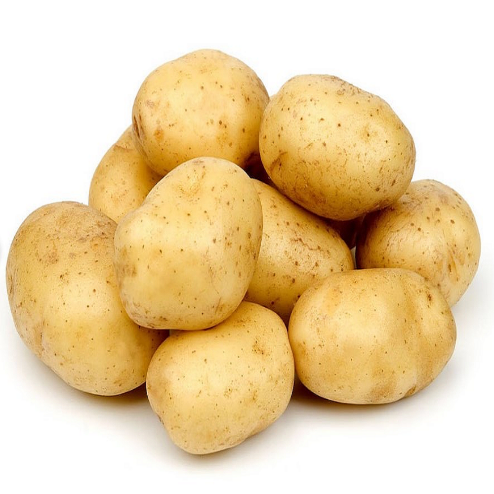 포슬포슬 고소한 농가직송 강원도 고랭지 진또배기 두백 감자 14,160원