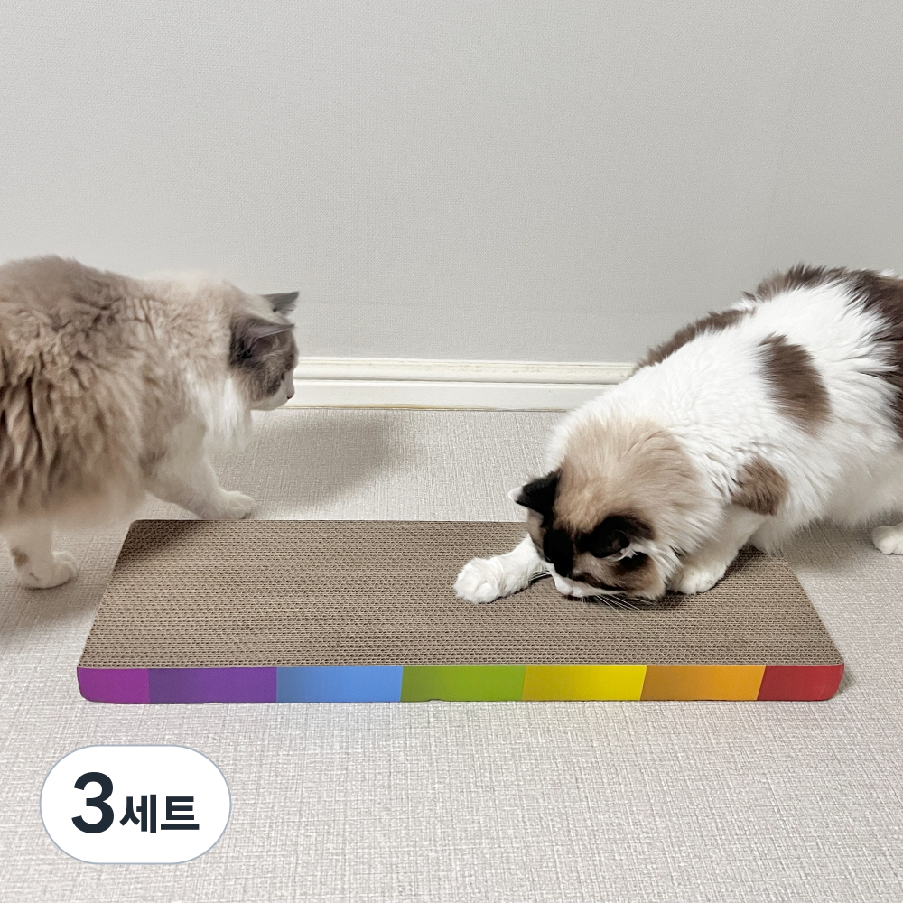 마아 고양이 특대형 무지개 스크래쳐 64cm + 캣닢 세트, 평판형, 3세트 20,700원