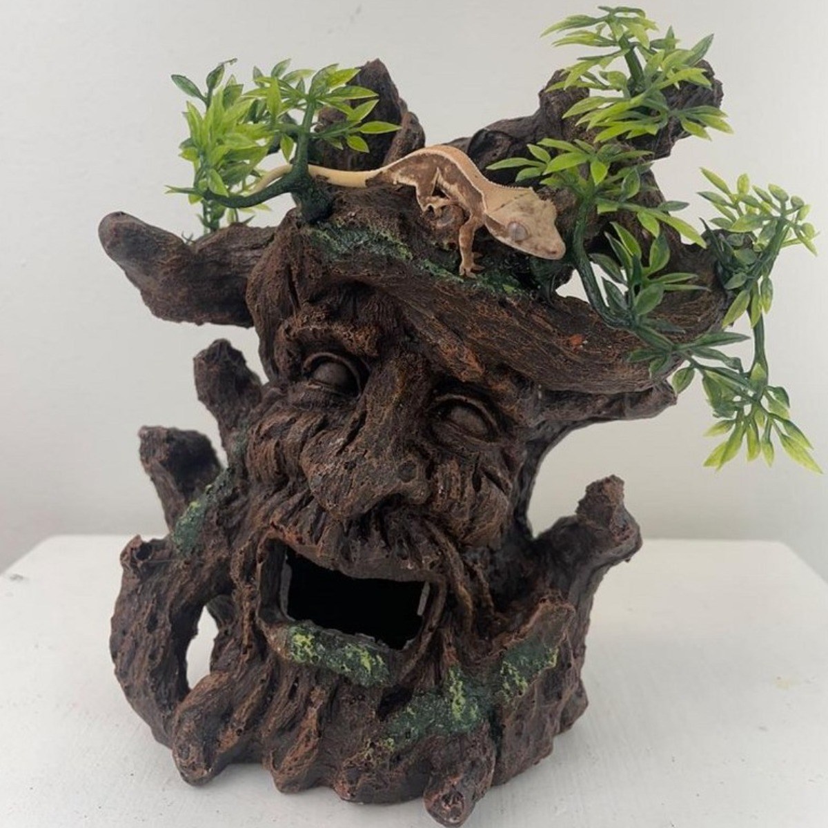 주스터디 도마뱀 은신처 나무요정 수족관 장식 19,500원