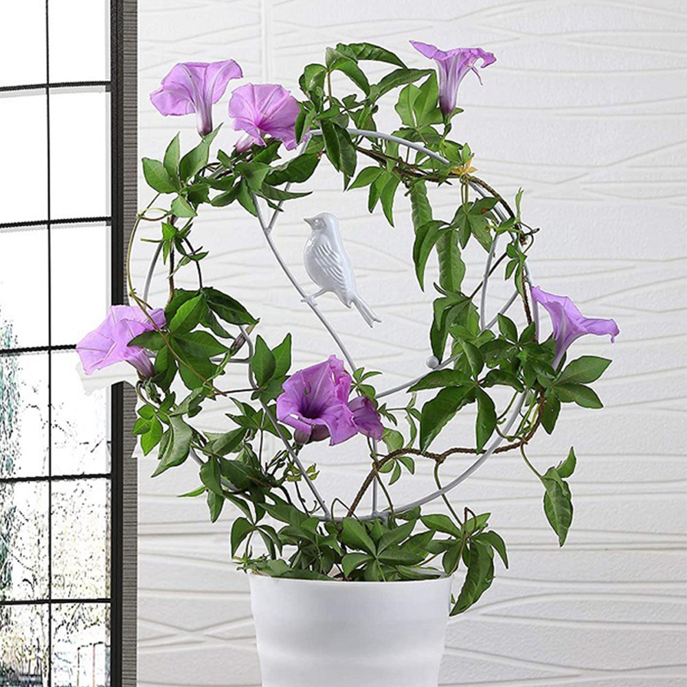 21세기트랜드 러브리 식물 지지대, 1개 3,000원