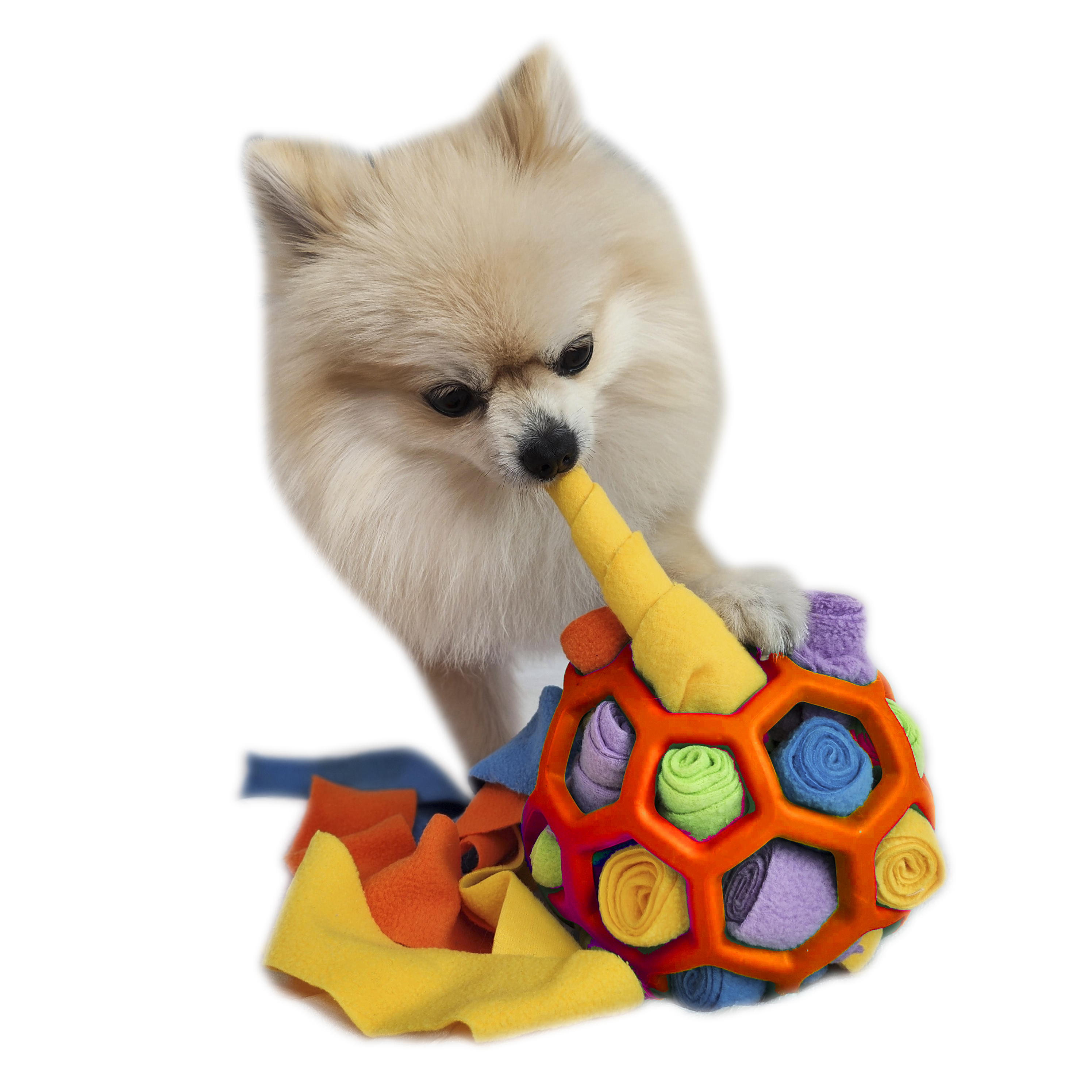 난펫 강아지 노즈워크 폼폼볼 장난감 9,500원