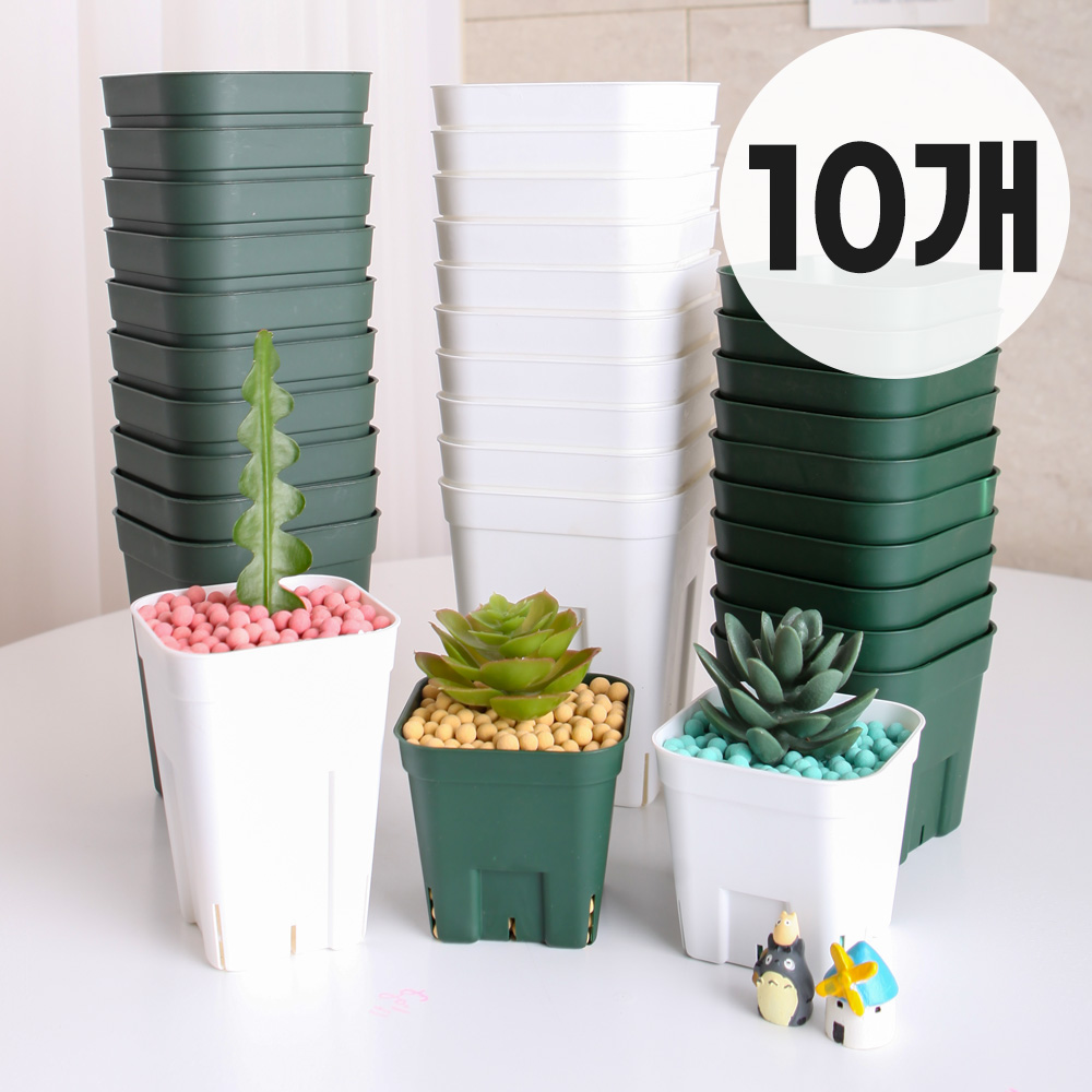 세경팜 프레스테라 사각 슬릿화분 10개입 롱타입 쇼츠타입, 10개, 모스그린 13,000원