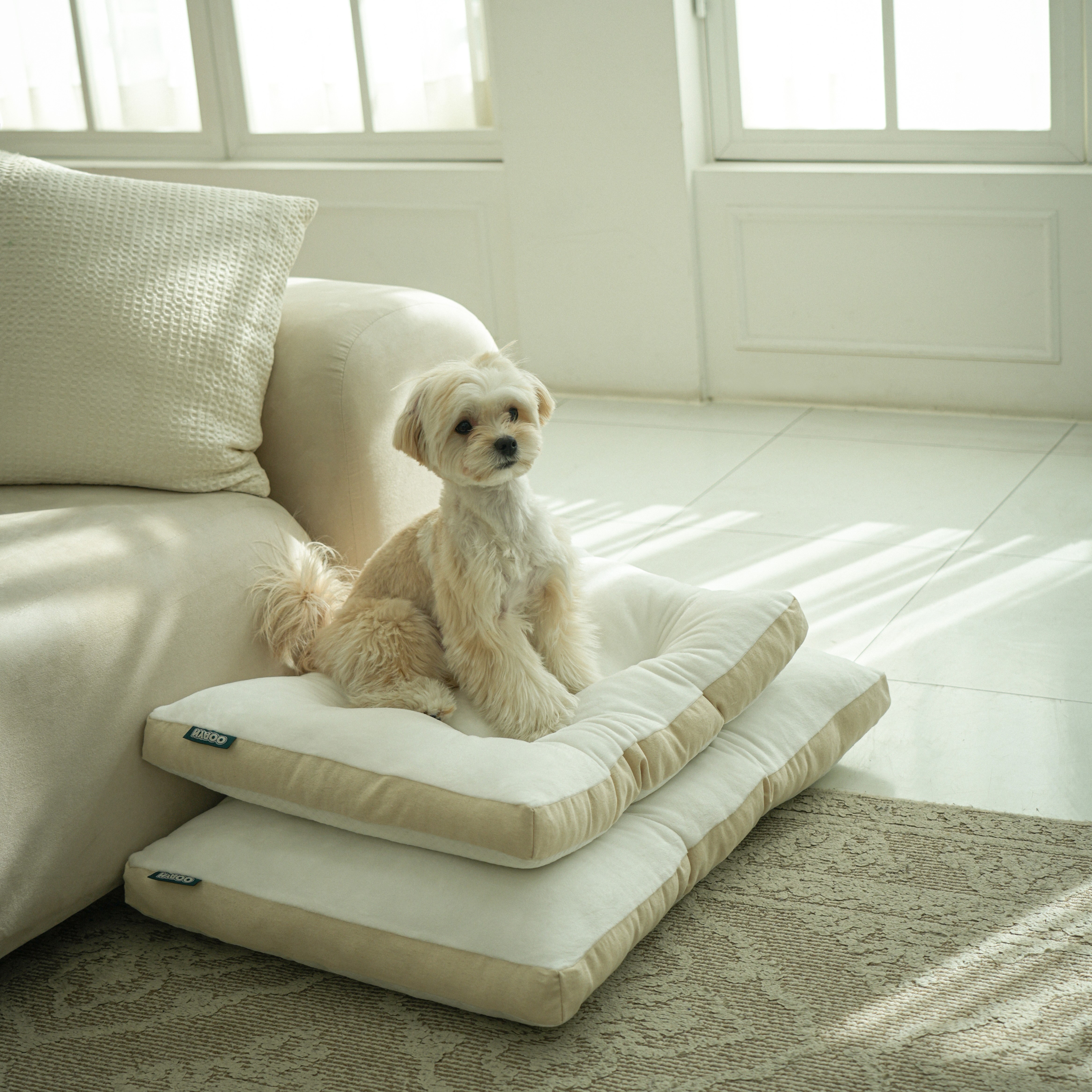 냐오오 강아지 대형견 방석 [국내 제작] 3 Size 3 Color  쿠션 마약 쇼파 자체제작 16,500원