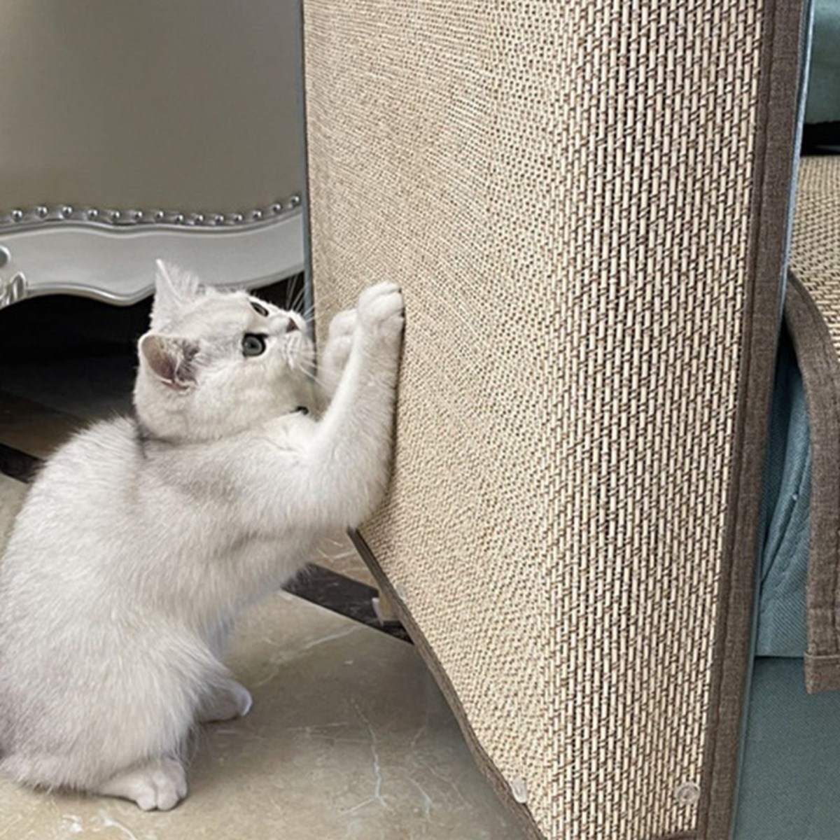 로아 고양이 캣 스크래쳐 벽 부착형 붙이는 반려묘 스크래치 매트 8,560원