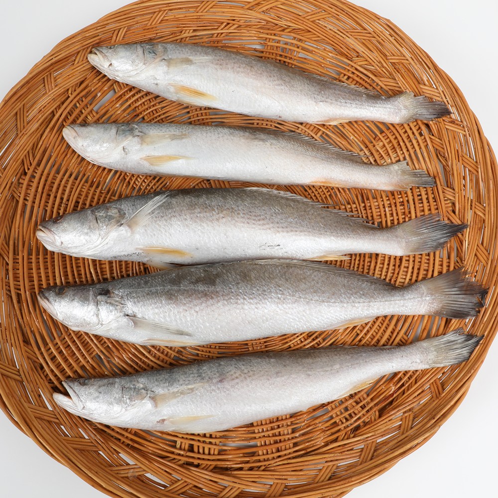 자갈치닷컴 민어조기(뾰조기)5P 26~28cm전후 64마리전후 뾰족조기, 64개, 5P 26~28cm전후 295,000원