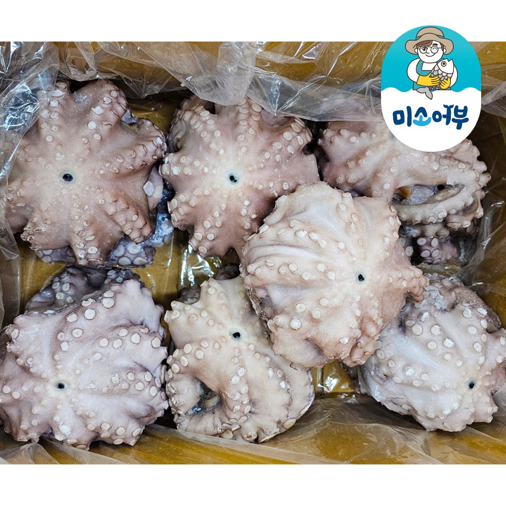 미소어부 모리타니아 생문어 세척문어 업소용 193,000원