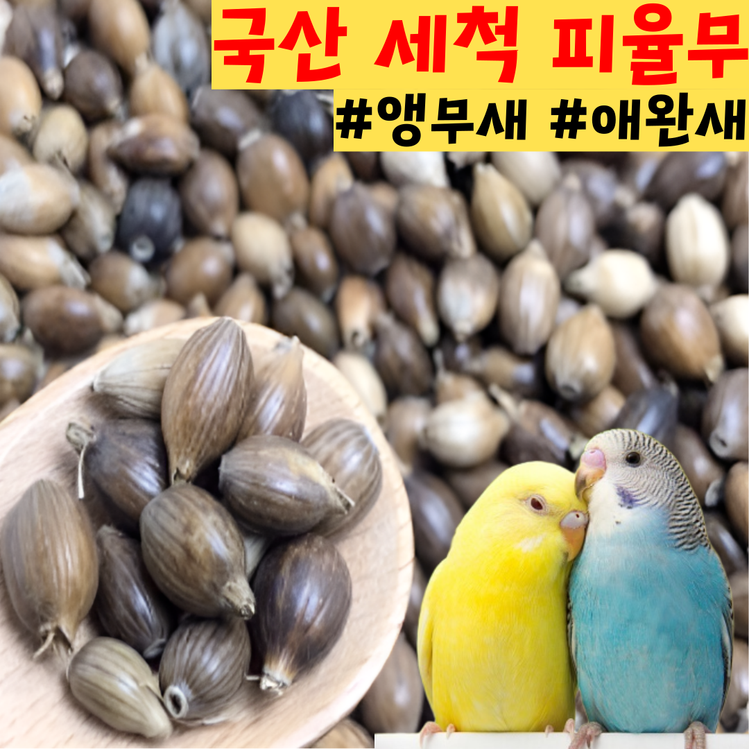 [가성비대용량] 세척볶음 알곡 11종 영양 곡물 앵무새 애완새 잉꼬 사료 밥 먹이 16,980원