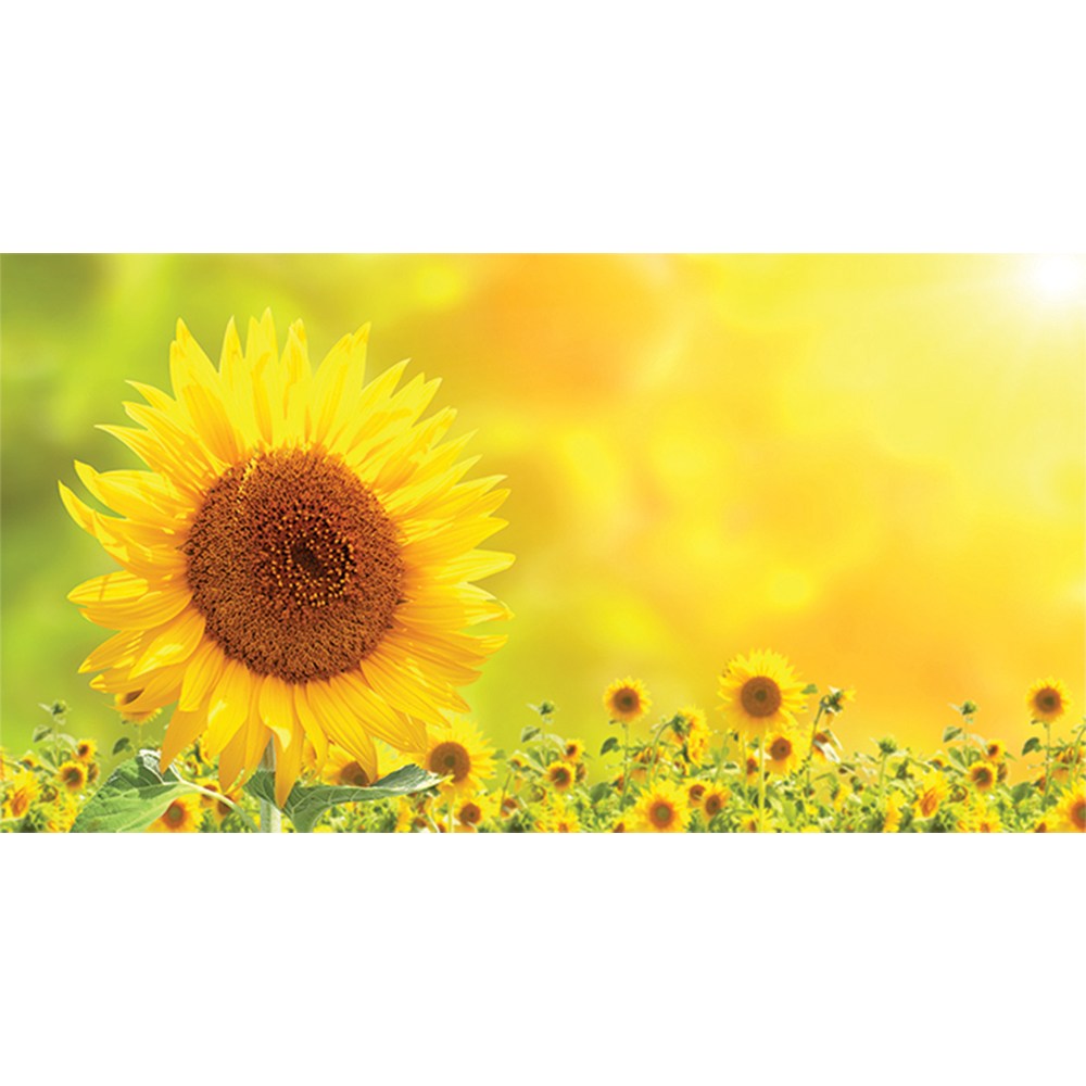 코나 주방아트보드 가스렌지 인덕션 가드 가림막 기름튐방지 해바라기밭3 41,900원